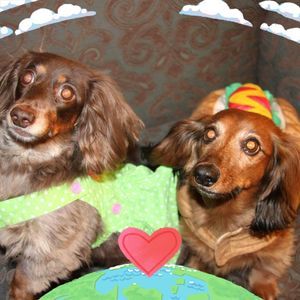 Meet your Posher, Tawney